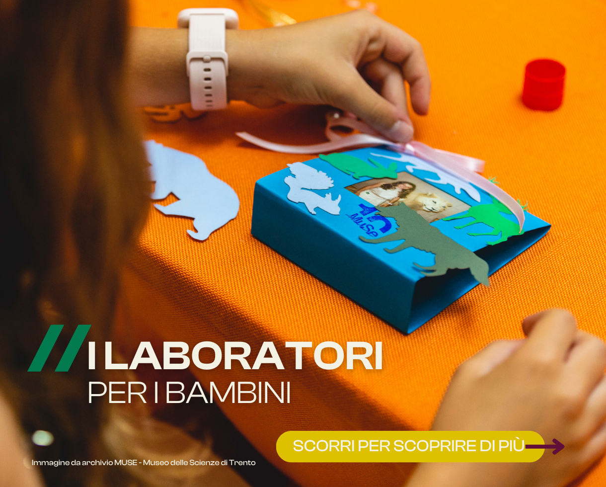 COPERTINA LAB